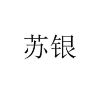 <strong>苏银车抵贷</strong>